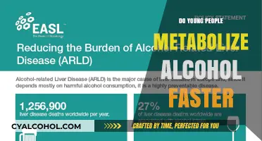 Do Young People Metabolize Alcohol Faster? Exploring Age and Metabolism