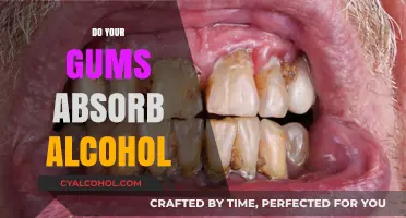 Exploring the Myth: Can Your Gums Really Absorb Alcohol?