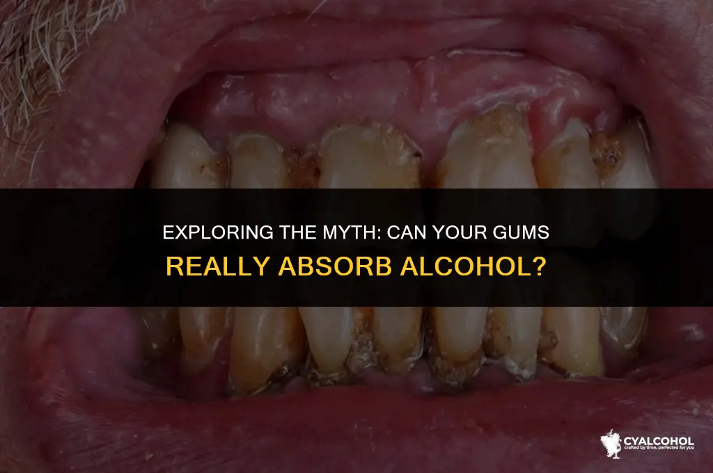 do your gums absorb alcohol