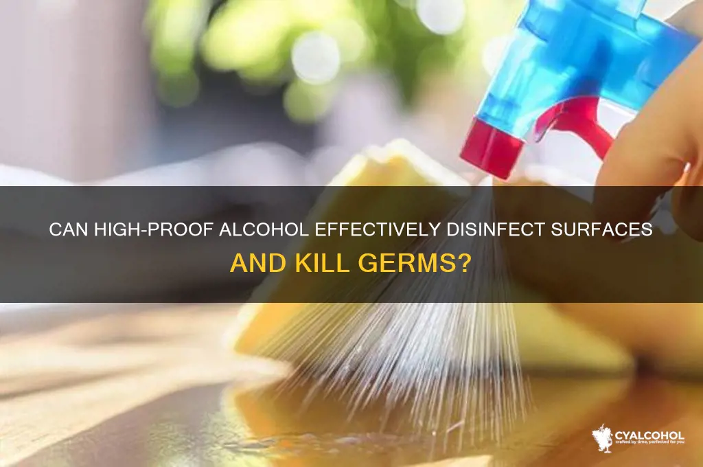 does 100 alcohol disinfect