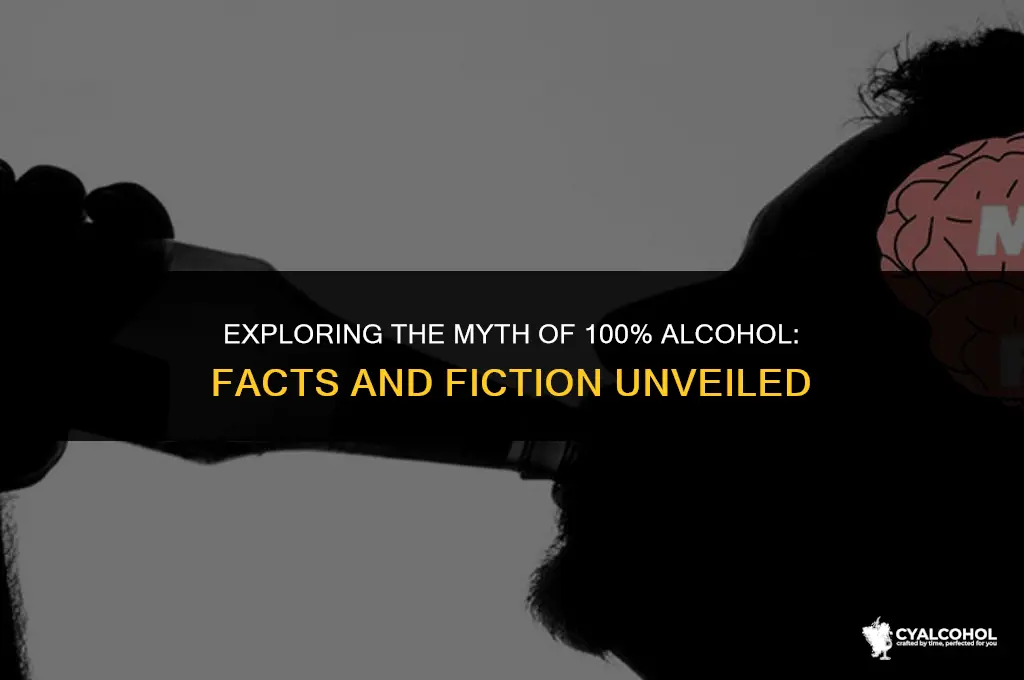 does 100 percent alcohol exist