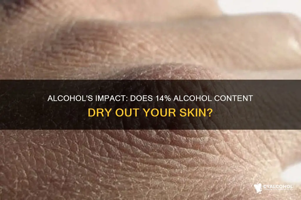 does 14 alcohol dry your skin