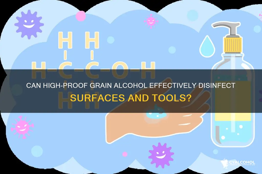 does 190 proof grain alcohol disinfect