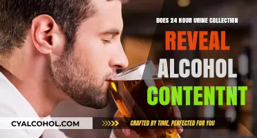 Can 24-Hour Urine Tests Accurately Detect Alcohol Consumption?