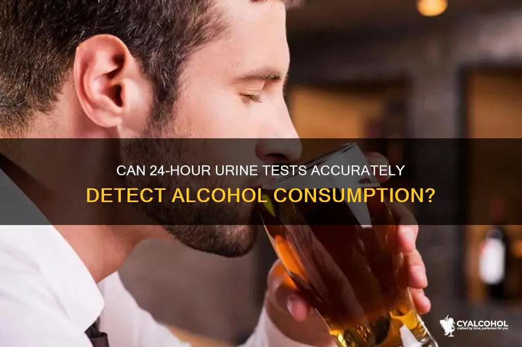 does 24 hour urine collection reveal alcohol contentnt