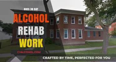 Does 30-Day Alcohol Rehab Offer Effective Long-Term Recovery Solutions?