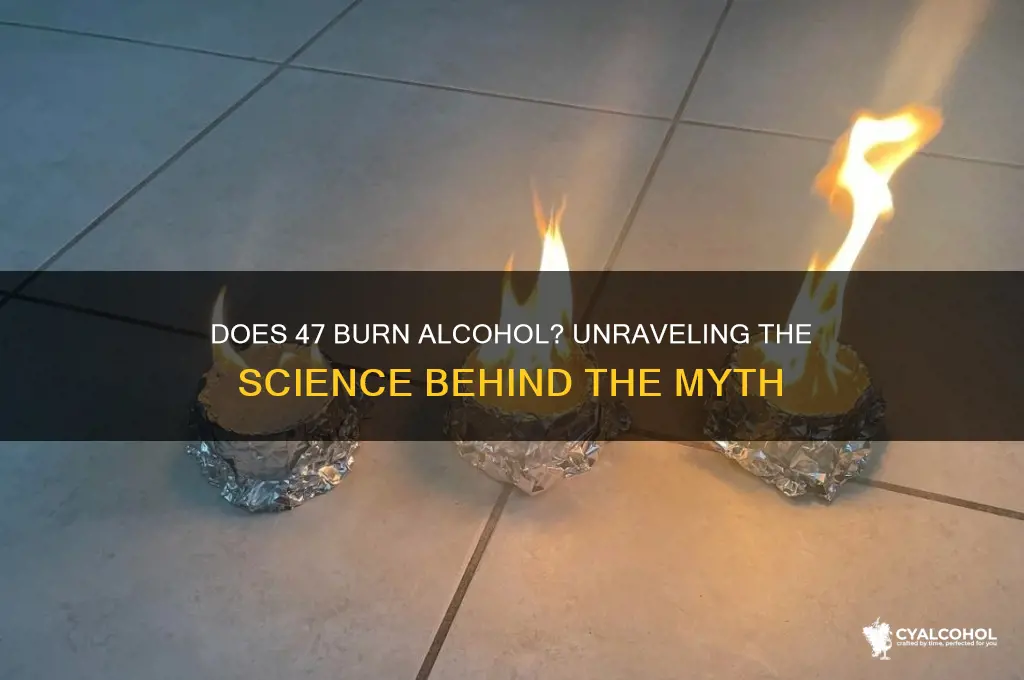 does 47 burn alcohol