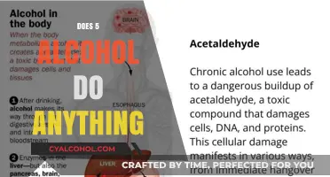 Exploring the Effects of Moderate Alcohol Consumption: Does 5% ABV Do Anything?