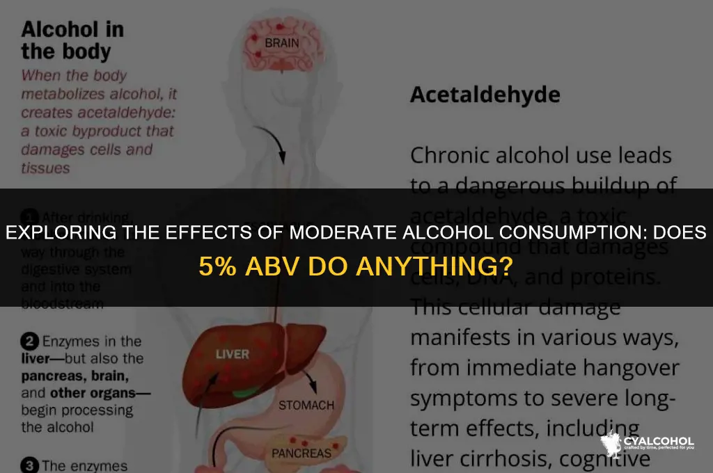 does 5 alcohol do anything