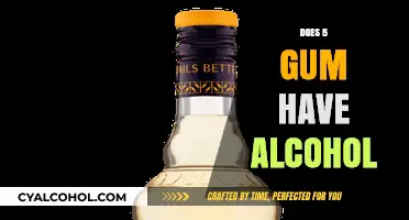 Unveiling the Truth: Alcohol Content in 5 Gum Explained
