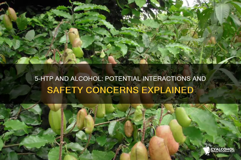 does 5 htp interact with alcohol