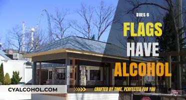 Exploring the Presence of Alcohol at Six Flags Theme Parks