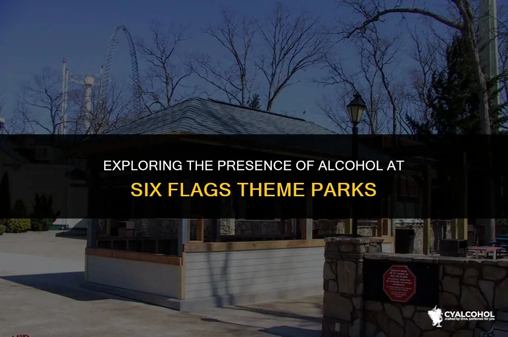 does 6 flags have alcohol