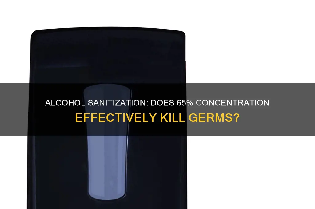 does 65 alcohol sanitize