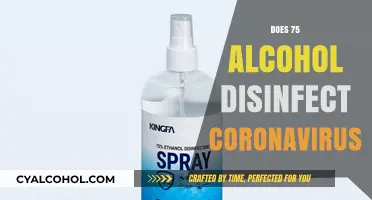 Alcohol's Efficacy Against Coronavirus: Separating Fact from Fiction