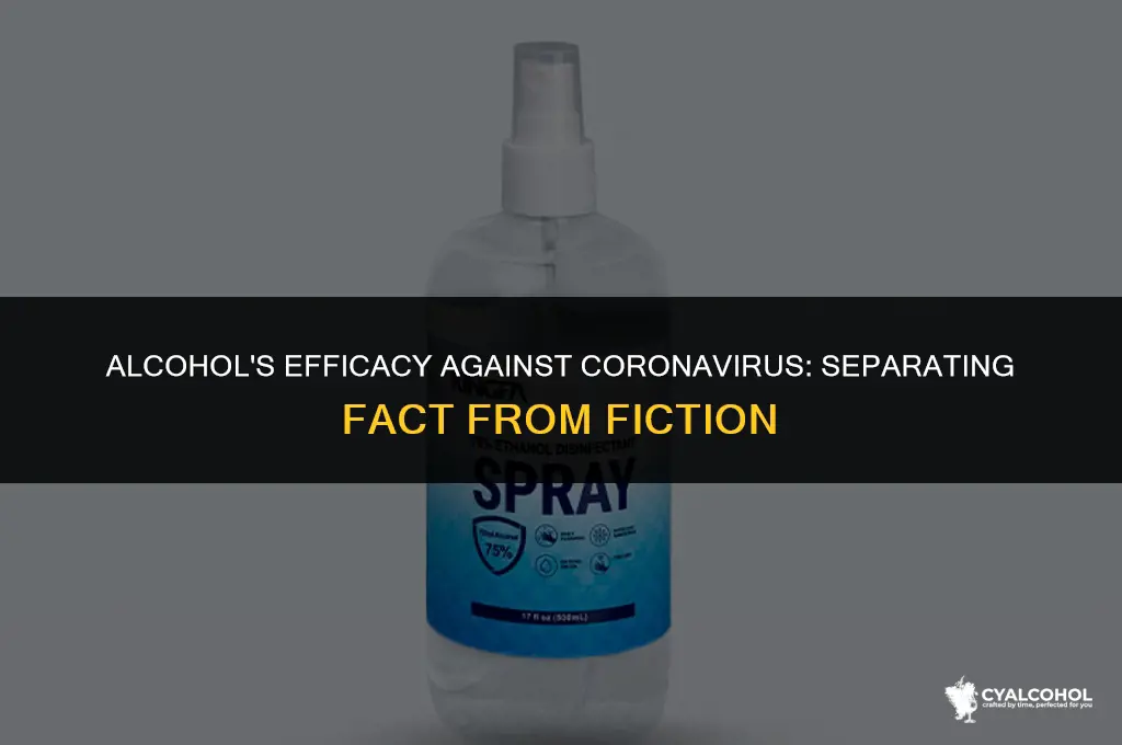 does 75 alcohol disinfect coronavirus