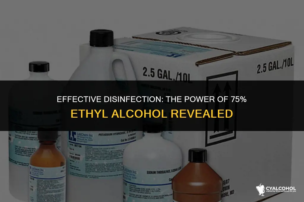 does 75 ethyl alcohol disinfect
