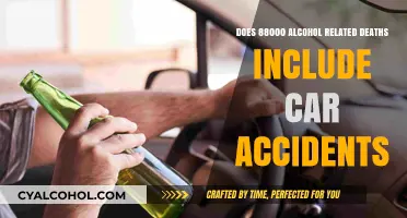 Alcohol-Related Deaths: Do Car Accidents Factor into the 88,000 Count?
