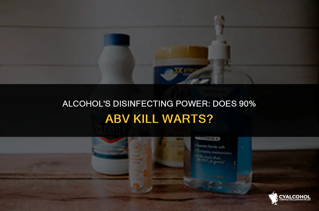 does 90 alcohol disinfect waarts