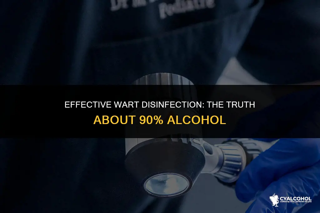 does 90 alcohol disinfect warts