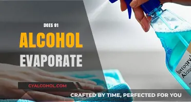 Does High-Proof Alcohol Like 91% Evaporate Quickly? Explained