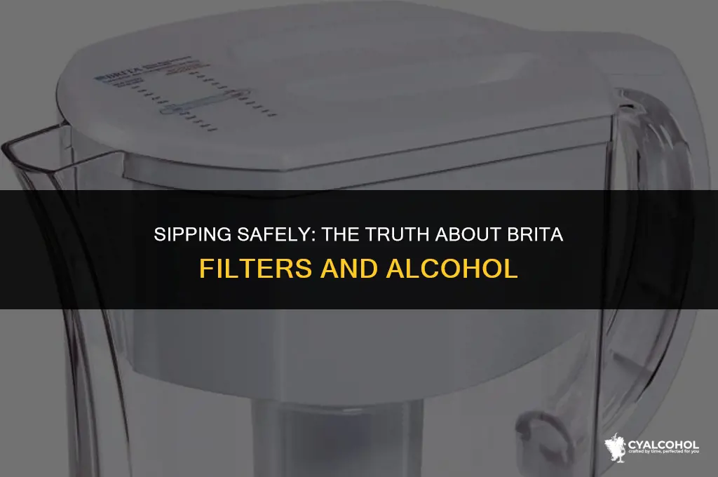 does a brita filter alcohol
