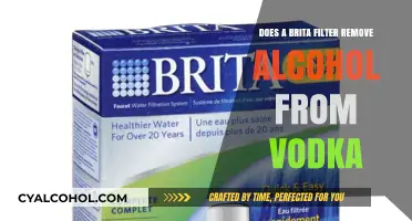 Can a Brita Filter Remove Alcohol from Vodka? The Truth Revealed