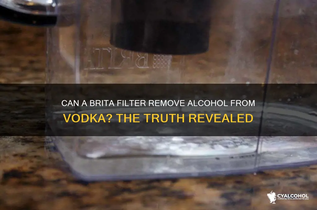 does a brita filter remove alcohol from vodka