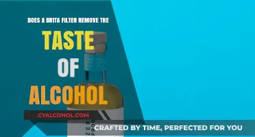 Brita Filter: Alcohol Taste Test