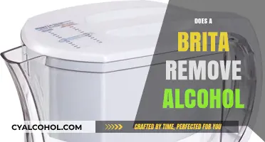 Sobering Truth: Can a Brita Filter Really Remove Alcohol?