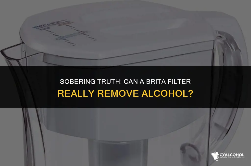 does a brita remove alcohol