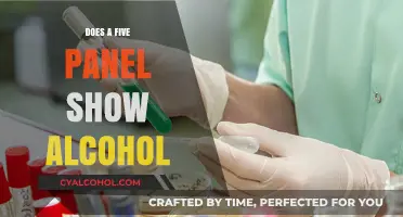 Does a Five-Panel Drug Test Detect Alcohol Consumption?