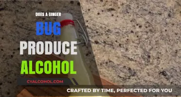 Ginger Bug Fermentation: Unveiling the Alcohol Production Mystery
