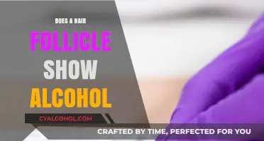Can Hair Follicle Tests Detect Alcohol Use? Facts and Insights