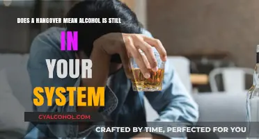 Hangover: Alcohol's Lingering Effects Explained
