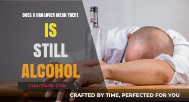 Hangover Science: Is Alcohol Still in Your System After the Pain?