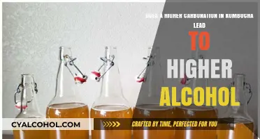 Carbonation and Alcohol: Kombucha's Complex Chemistry