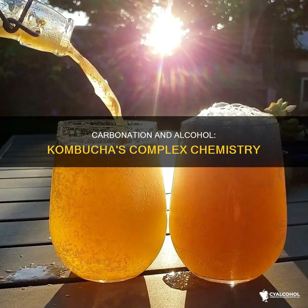 does a higher carbonation in kombucha lead to higher alcohol