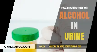 Hospital Alcohol Testing: Urine Screening Explained and Common Practices