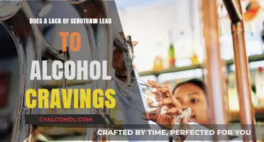 Serotonin, Alcohol, and Cravings: Understanding the Connection