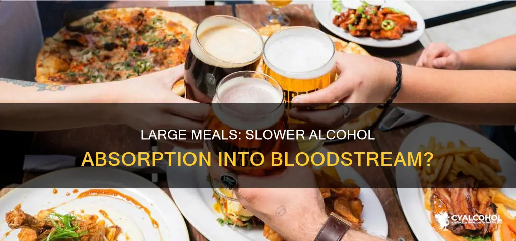 does a large meal slow alcohol absorbtion into the bloodstream