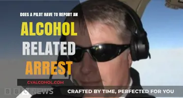Pilots and Alcohol: Reporting Arrests