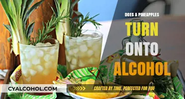 Pineapple Fermentation: Can This Tropical Fruit Naturally Turn into Alcohol?