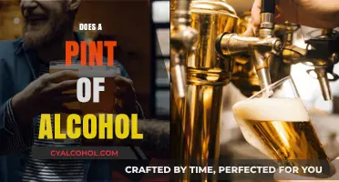 Exploring the Effects and Myths of a Pint of Alcohol