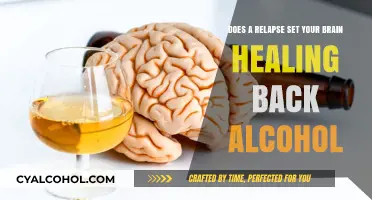 Brain Healing and Alcohol Relapse: Setting Back Progress?