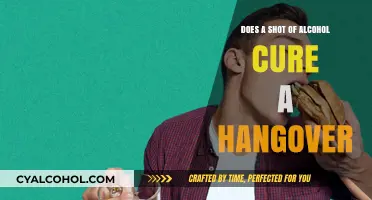 Can a Shot of Alcohol Really Cure Your Hangover? The Truth