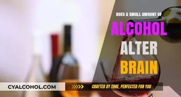 Small Alcohol Consumption: Subtle Brain Changes or Significant Impact?
