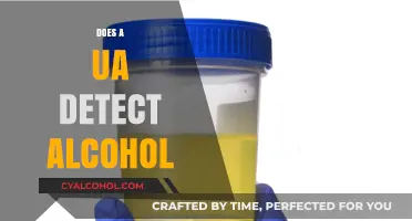 Can a UA Test Detect Alcohol? Understanding Drug Testing