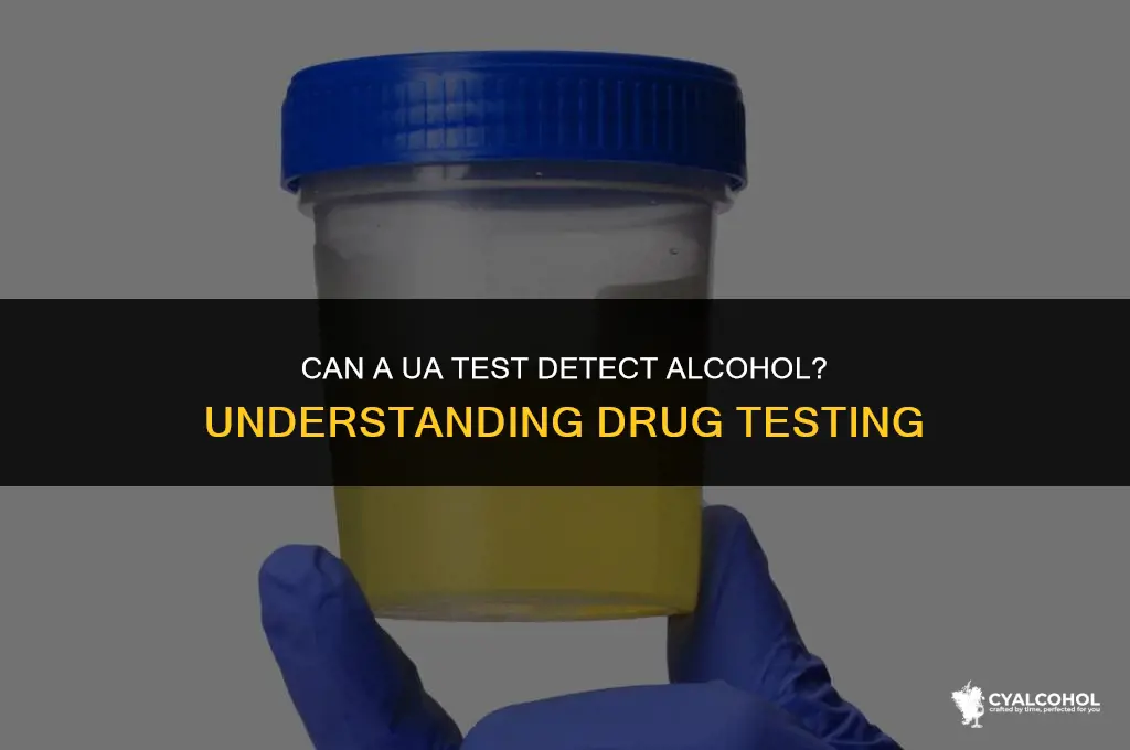 does a ua detect alcohol
