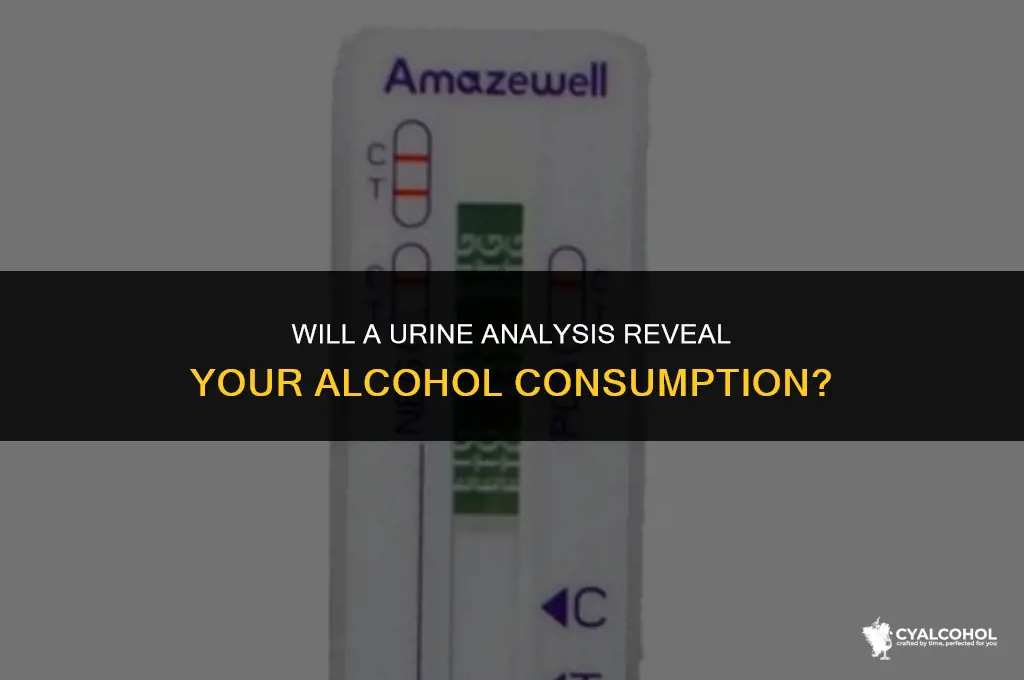 does a ua show alcohol